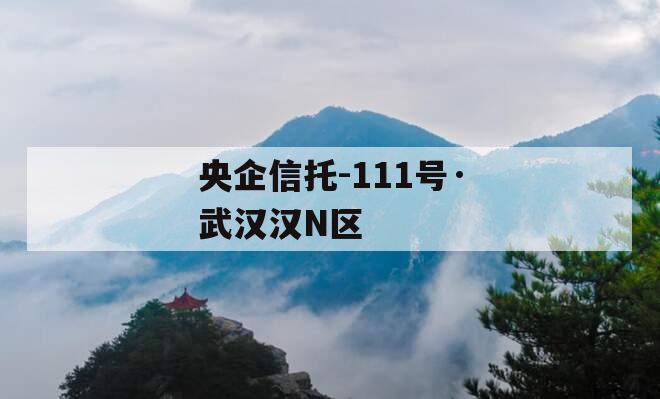 央企信托-111号·武汉汉N区
