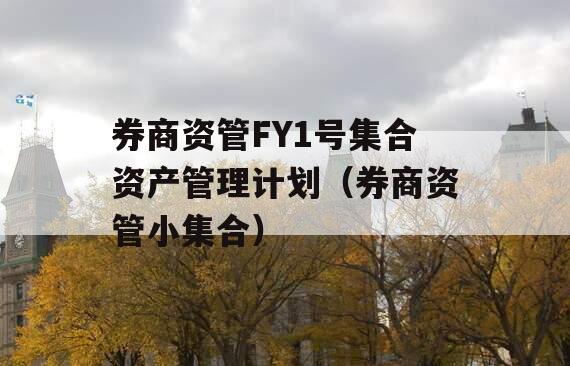 券商资管FY1号集合资产管理计划（券商资管小集合）