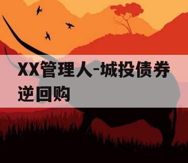 XX管理人-城投债券逆回购 XX管理人-城投债券逆回购