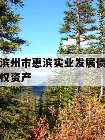 滨州市惠滨实业发展债权资产