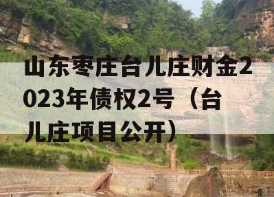山东枣庄台儿庄财金2023年债权2号（台儿庄项目公开）