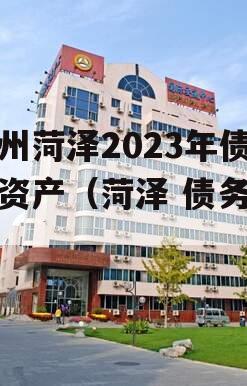 滨州菏泽2023年债权资产（菏泽 债务率）