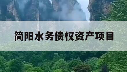 简阳水务债权资产项目 简阳水务债权资产项目