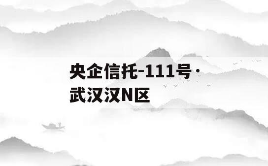 央企信托-111号·武汉汉N区