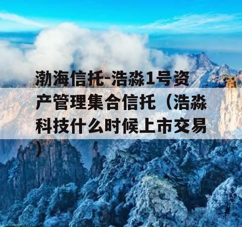 渤海信托-浩淼1号资产管理集合信托（浩淼科技什么时候上市交易）