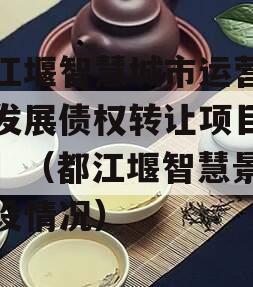 都江堰智慧城市运营建设发展债权转让项目【二】（都江堰智慧景区建设情况）