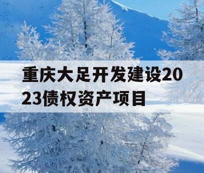 重庆大足开发建设2023债权资产项目