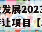 成都都江堰智慧城市运营建设发展2023年债权转让项目【二】政府债定融