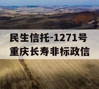 民生信托-1271号重庆长寿非标政信