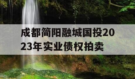 成都简阳融城国投2023年实业债权拍卖