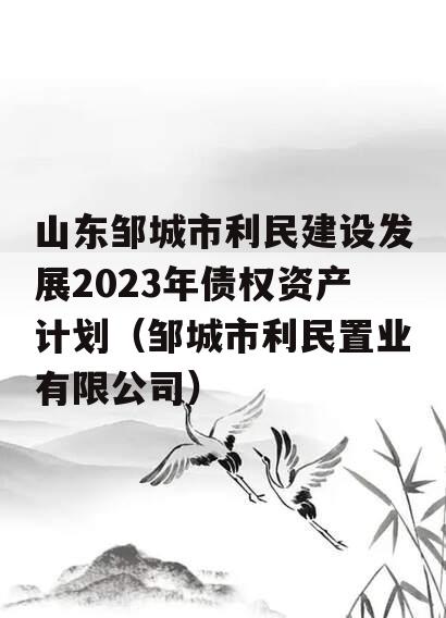 山东邹城市利民建设发展2023年债权资产计划（邹城市利民置业有限公司）