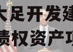 重庆大足开发建设2023年债权资产项目 重庆大足开发建设2023年债权资产项目