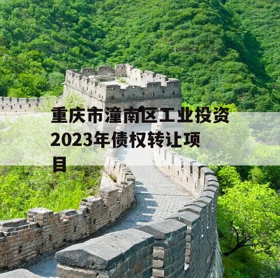 重庆市潼南区工业投资2023年债权转让项目