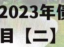 都江堰智慧城市运营建设发展2023年债权转让项目【二】（都江堰的智慧）
