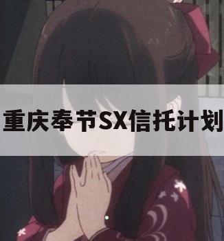 重庆奉节SX信托计划 重庆奉节SX信托计划