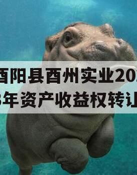 酉阳县酉州实业2023年资产收益权转让