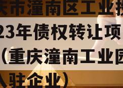 重庆市潼南区工业投资2023年债权转让项目（重庆潼南工业园东区入驻企业）