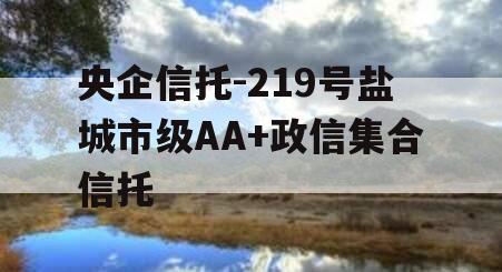 央企信托-219号盐城市级AA+政信集合信托 央企信托-219号盐城市级AA+政信集合信托