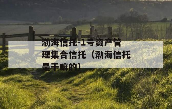渤海信托-1号资产管理集合信托（渤海信托是干嘛的）