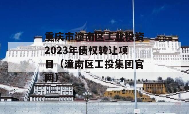 重庆市潼南区工业投资2023年债权转让项目（潼南区工投集团官网）