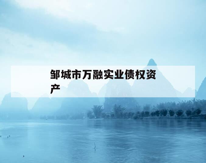 邹城市万融实业债权资产 邹城市万融实业债权资产