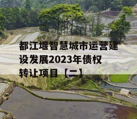 都江堰智慧城市运营建设发展2023年债权转让项目【二】