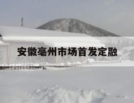 安徽亳州市场首发定融 安徽亳州市场首发定融