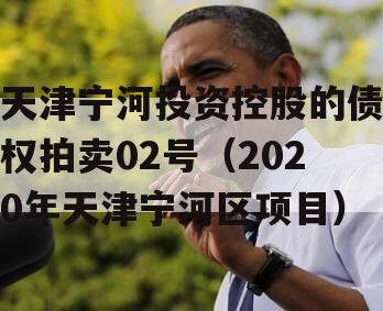 天津宁河投资控股的债权拍卖02号（2020年天津宁河区项目）