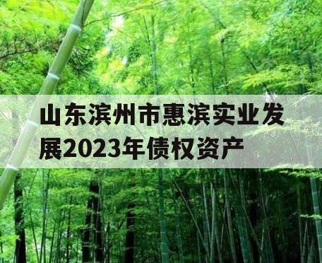 山东滨州市惠滨实业发展2023年债权资产 山东滨州市惠滨实业发展2023年债权资产