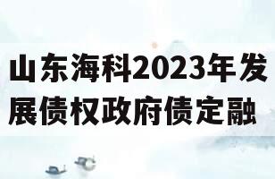 山东海科2023年发展债权政府债定融
