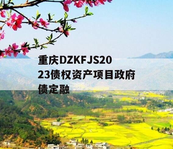 重庆DZKFJS2023债权资产项目政府债定融