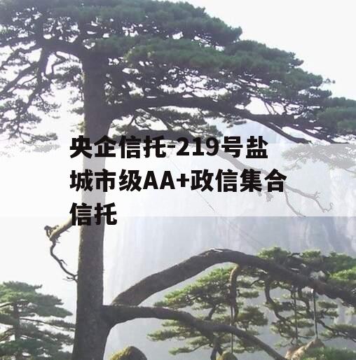 央企信托-219号盐城市级AA+政信集合信托