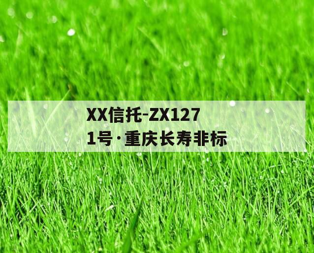 XX信托-ZX1271号·重庆长寿非标