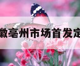安徽亳州市场首发定融