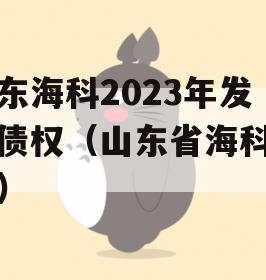 山东海科2023年发展债权（山东省海科集团）
