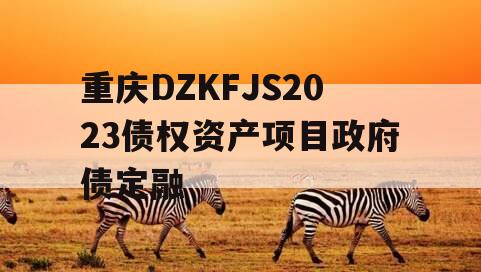 重庆DZKFJS2023债权资产项目政府债定融