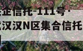 央企信托-111号·武汉汉N区集合信托计划