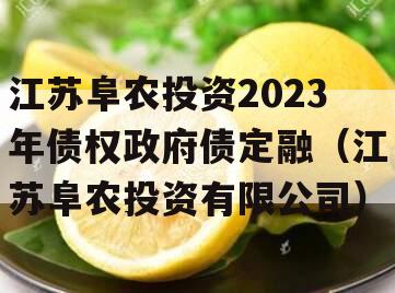 江苏阜农投资2023年债权政府债定融（江苏阜农投资有限公司）
