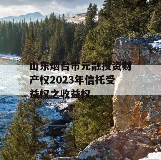 山东烟台市元融投资财产权2023年信托受益权之收益权