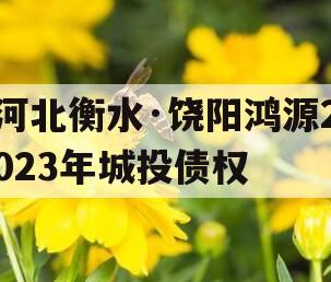 河北衡水·饶阳鸿源2023年城投债权 河北衡水·饶阳鸿源2023年城投债权