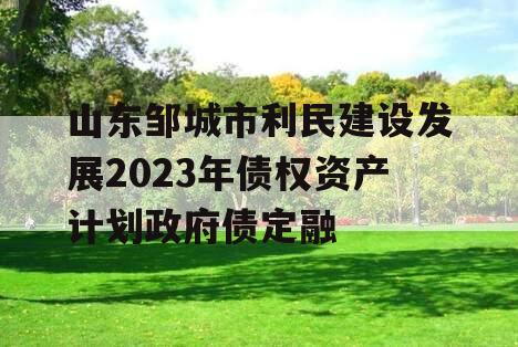 山东邹城市利民建设发展2023年债权资产计划政府债定融