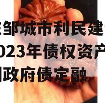 山东邹城市利民建设发展2023年债权资产计划政府债定融