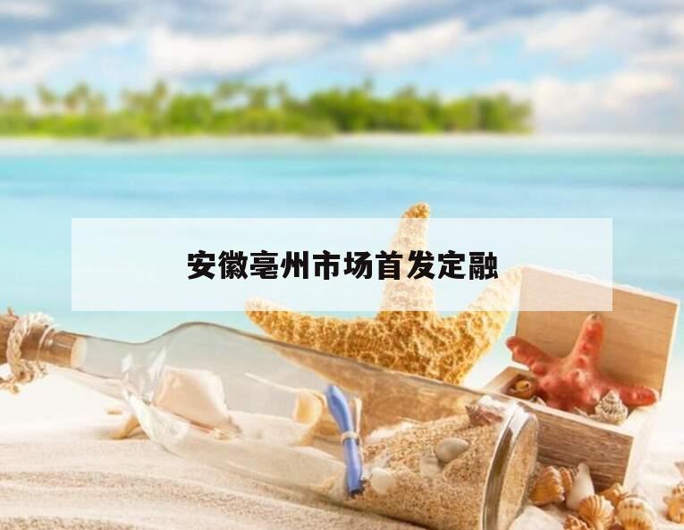 安徽亳州市场首发定融