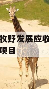 新乡牧野发展应收账款债权项目