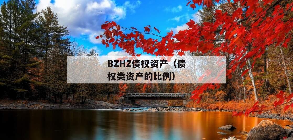 BZHZ债权资产（债权类资产的比例）