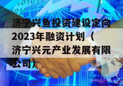 济宁兴鱼投资建设定向2023年融资计划（济宁兴元产业发展有限公司）