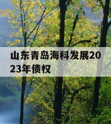 山东青岛海科发展2023年债权