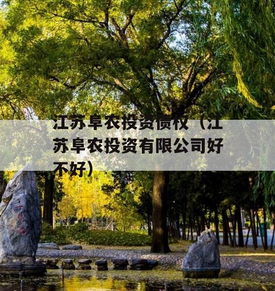 江苏阜农投资债权（江苏阜农投资有限公司好不好）