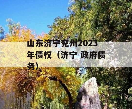 山东济宁兖州2023年债权（济宁 政府债务）