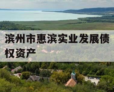 滨州市惠滨实业发展债权资产